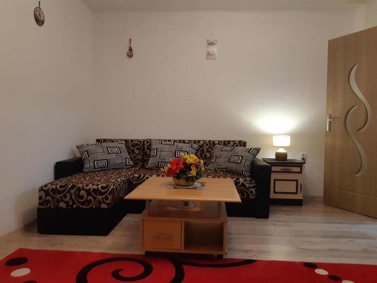 Florin Apartament シギショアラ エクステリア 写真