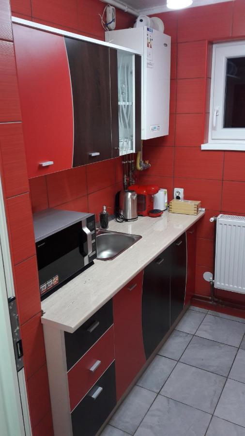 Florin Apartament シギショアラ エクステリア 写真
