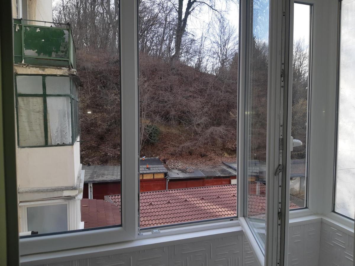 Florin Apartament シギショアラ エクステリア 写真