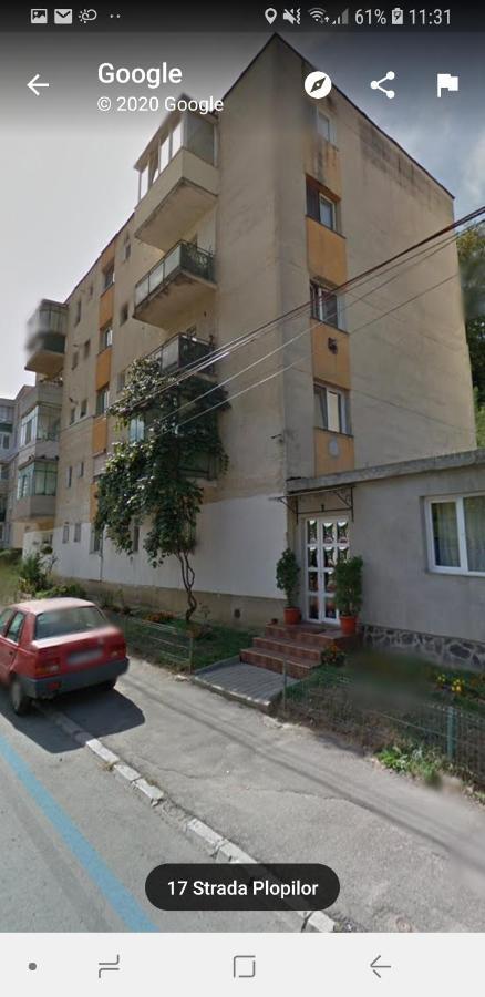Florin Apartament シギショアラ エクステリア 写真