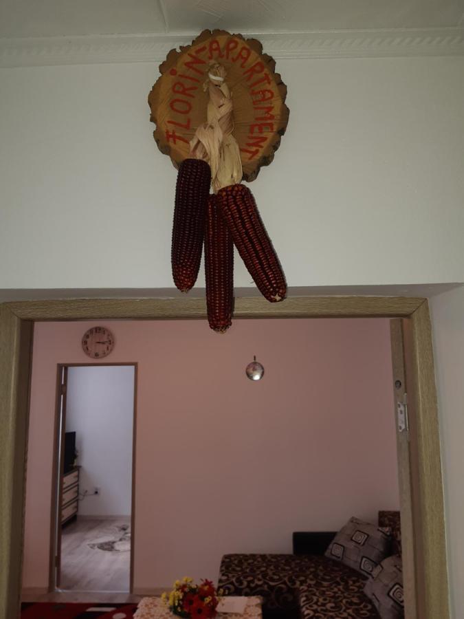Florin Apartament シギショアラ エクステリア 写真