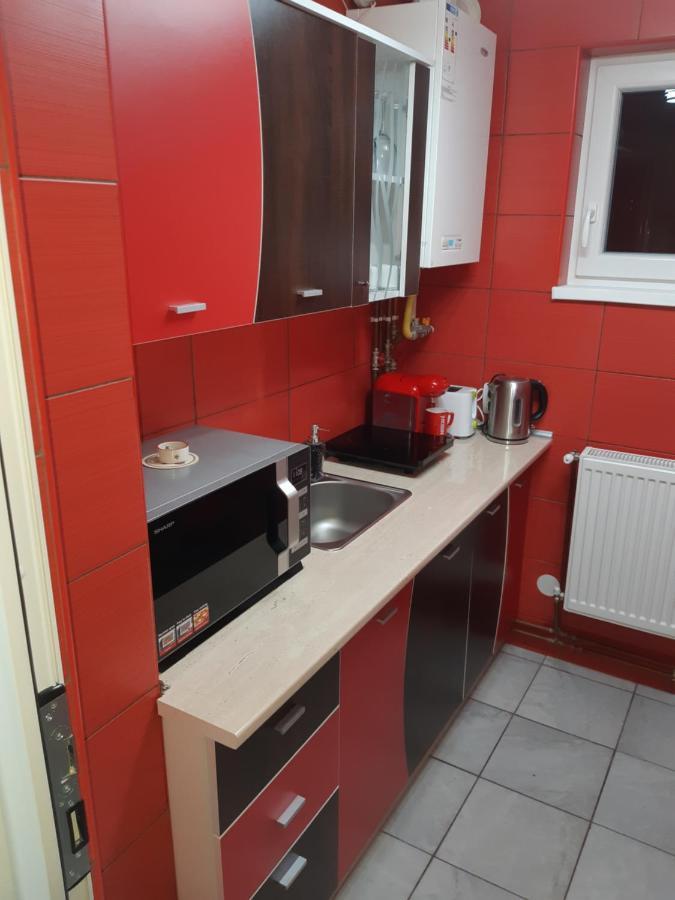 Florin Apartament シギショアラ エクステリア 写真