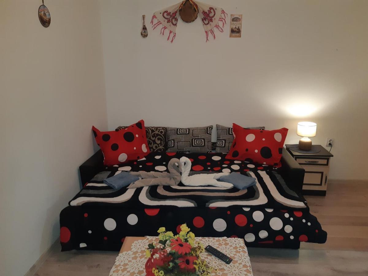 Florin Apartament シギショアラ エクステリア 写真