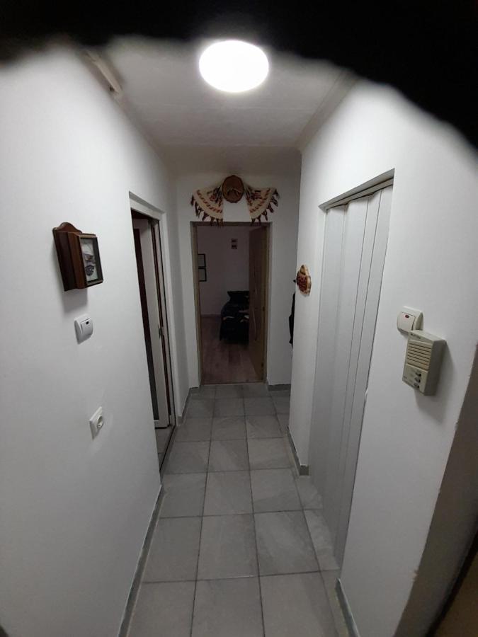 Florin Apartament シギショアラ エクステリア 写真
