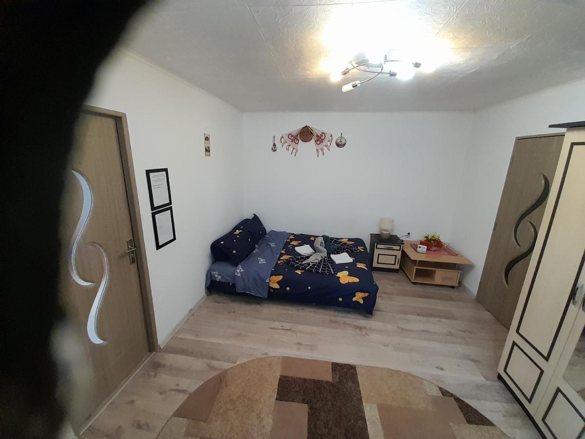 Florin Apartament シギショアラ エクステリア 写真