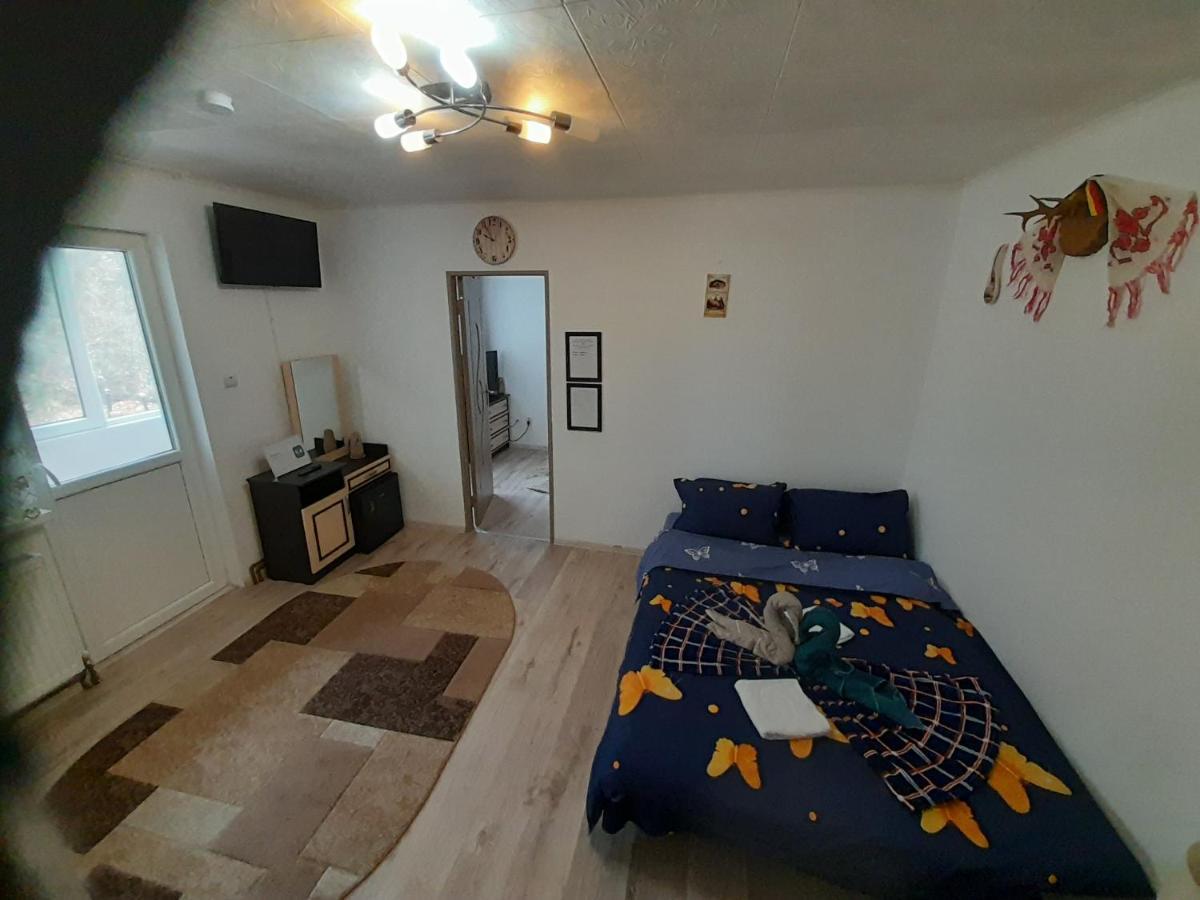 Florin Apartament シギショアラ エクステリア 写真